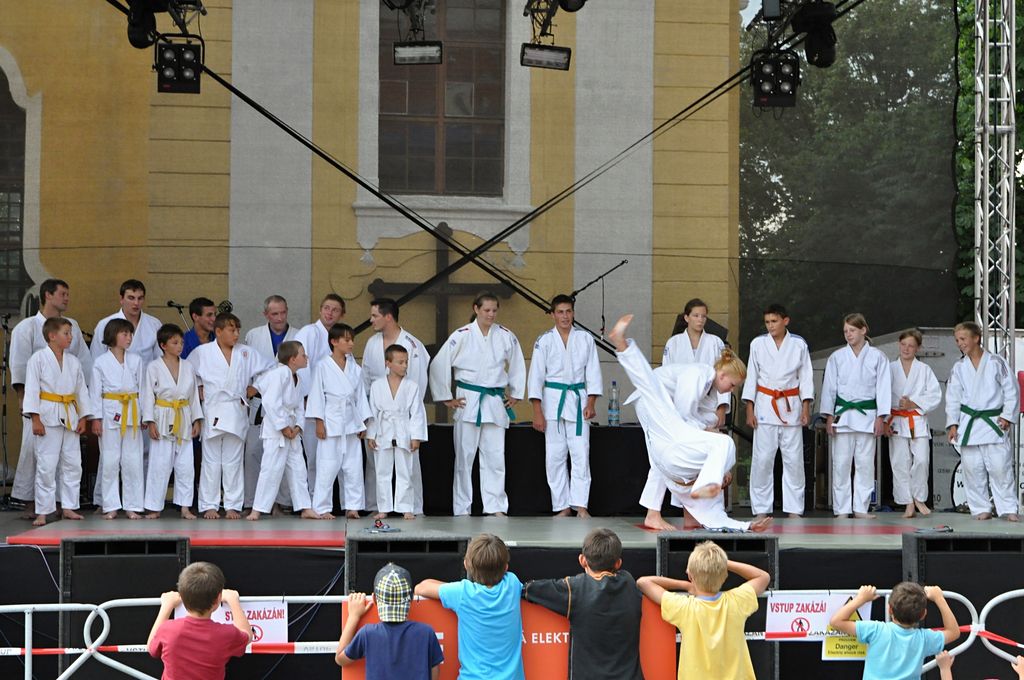 ukazky 2012__11.JPG